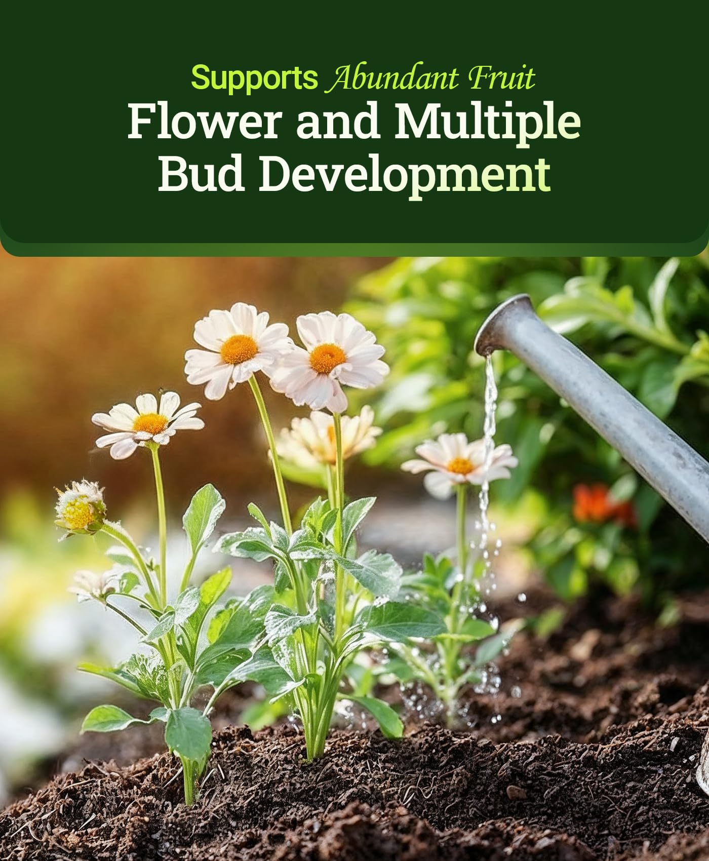 Flowering plant fed with FoxFarm Tiger Bloom demonstrating fuller blooms