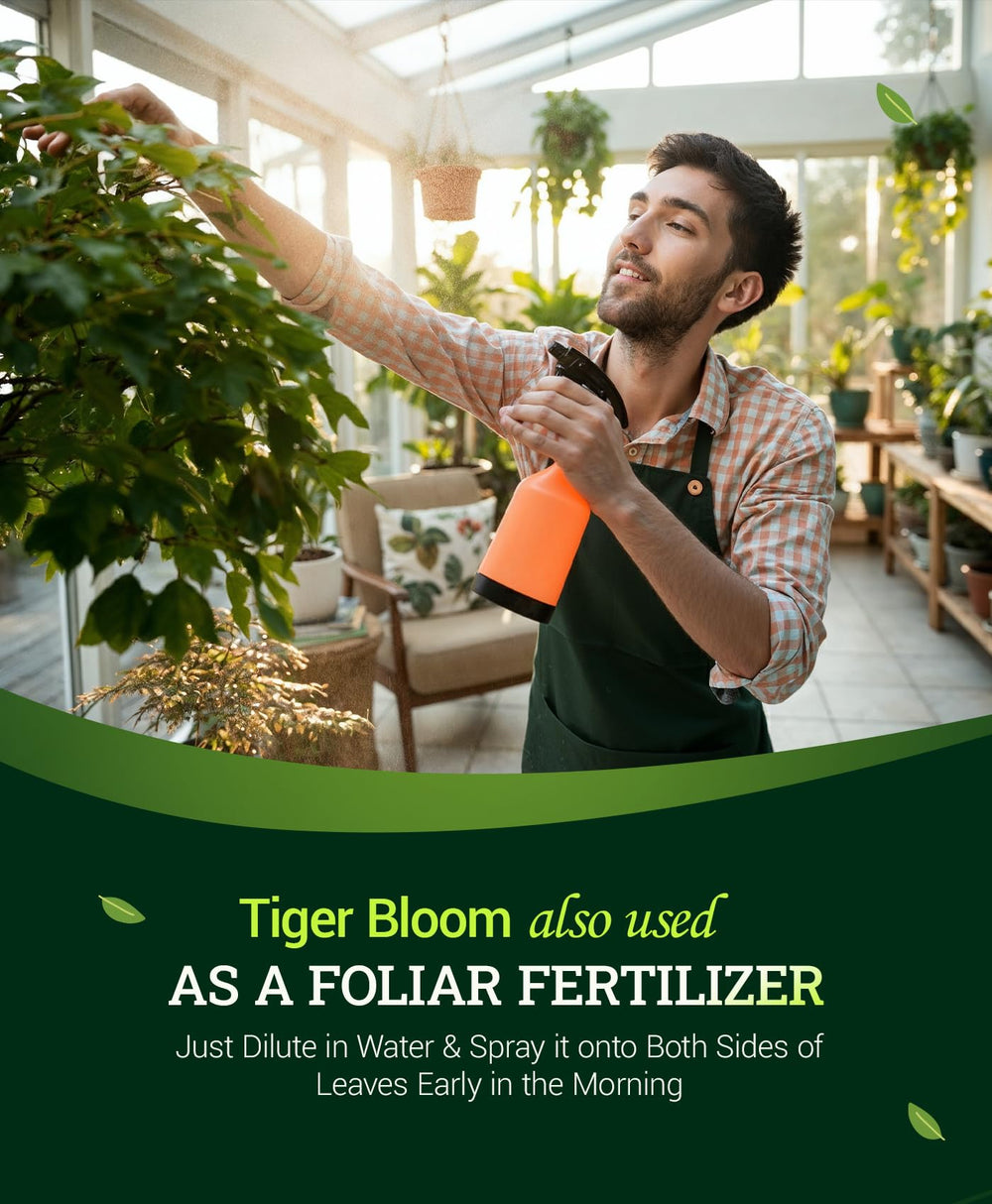 One-pint FoxFarm Tiger Bloom next to a ruler for clear size comparison