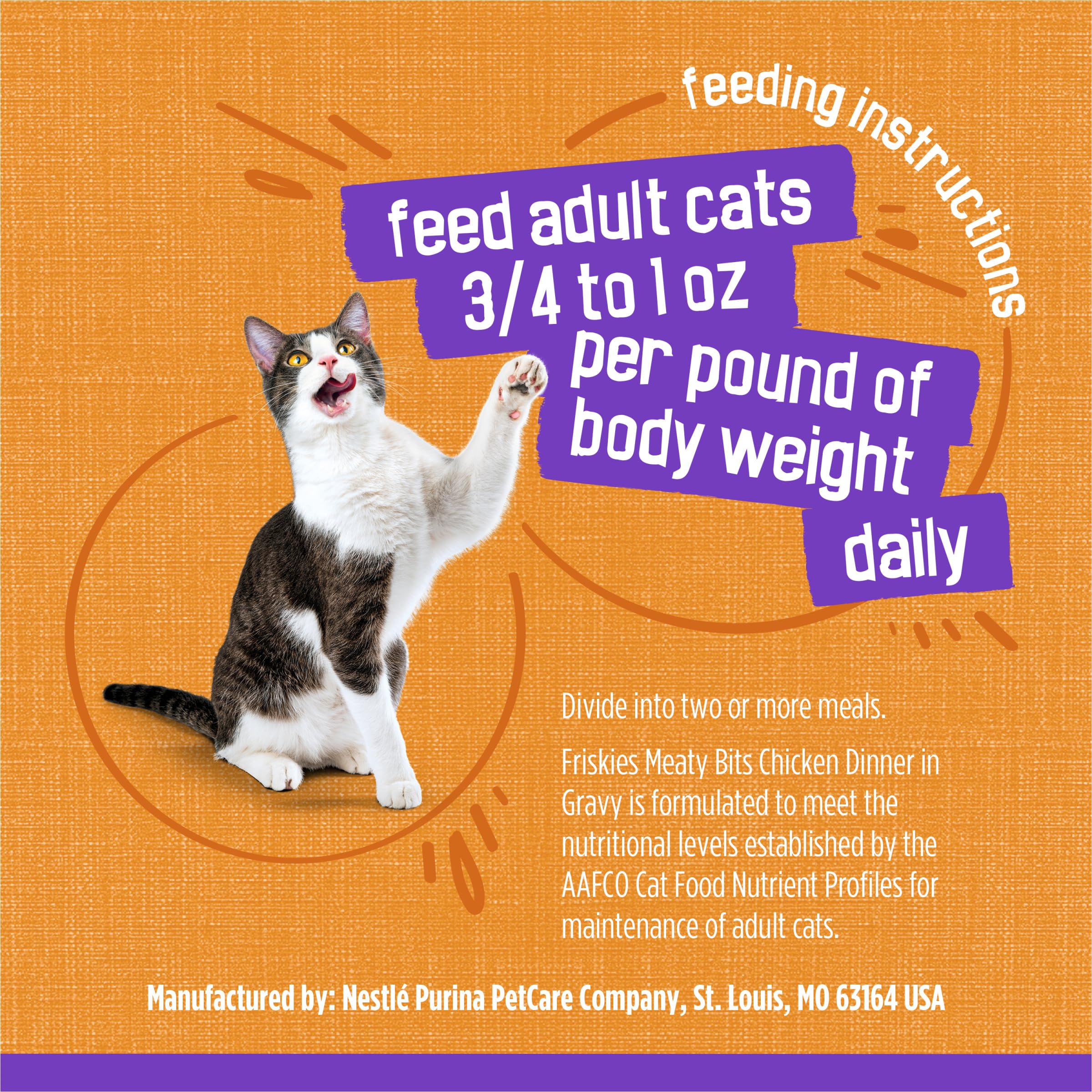 Friskies can label detail focusing on nutrition facts and feeding guidance