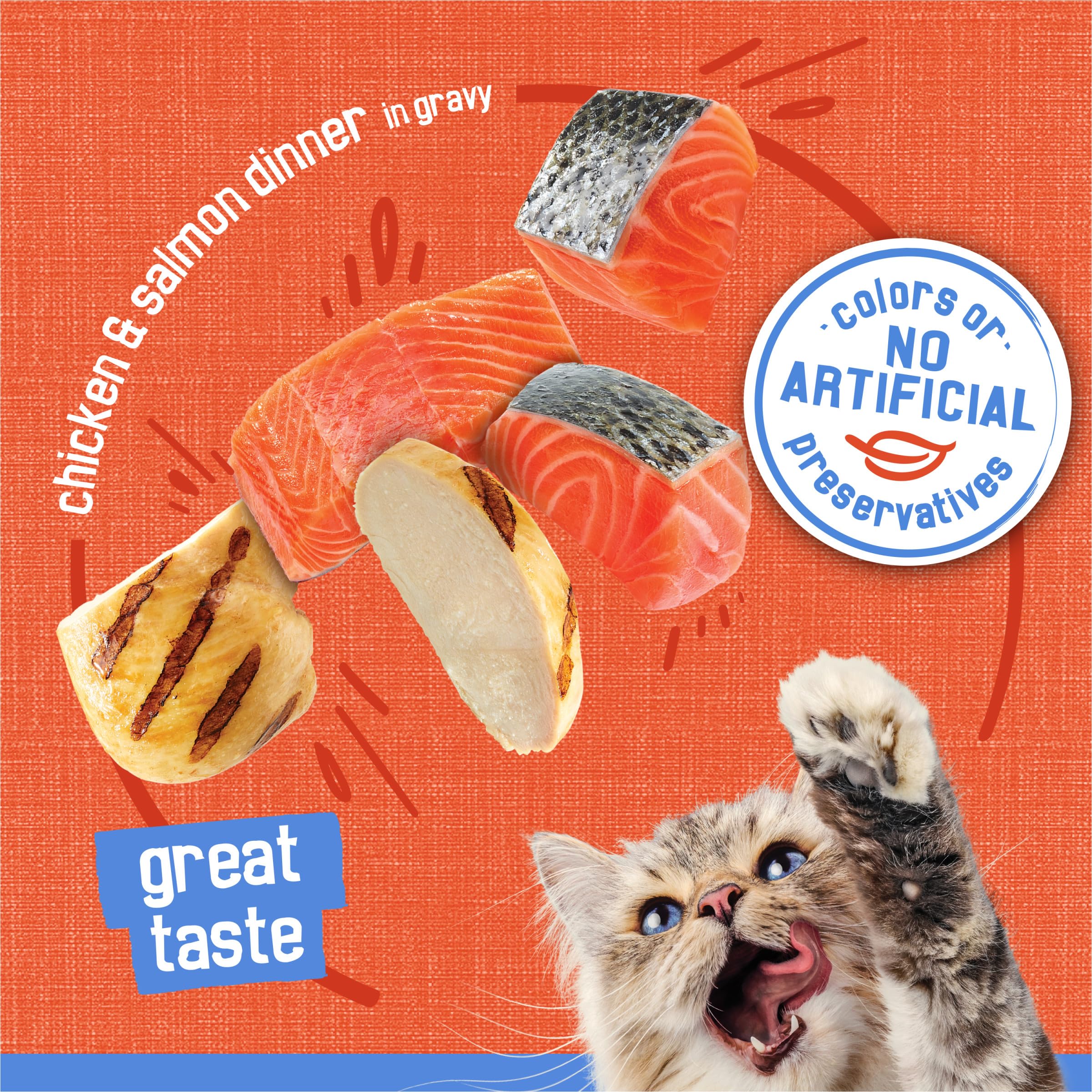 Cat eating Purina Friskies from a dish illustrating high palatability