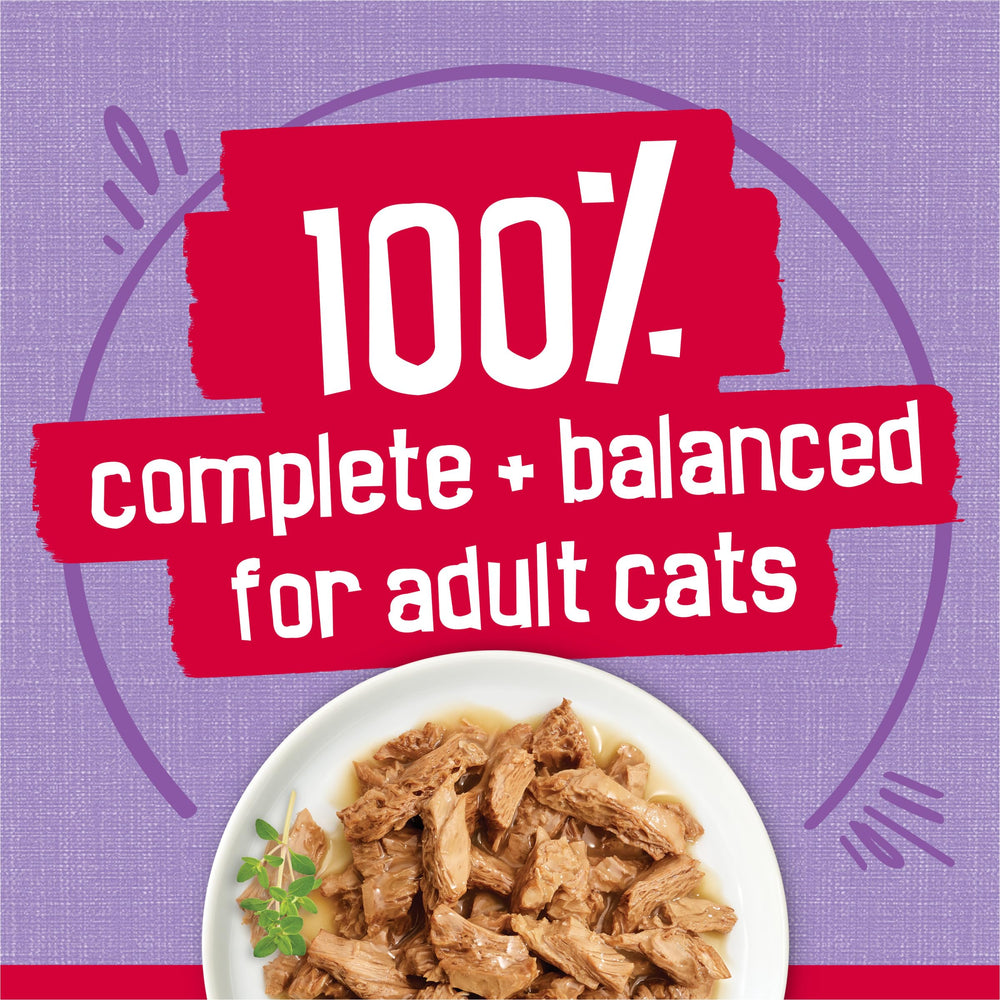 Friskies cat eating in living room showing enthusiastic acceptance benefit