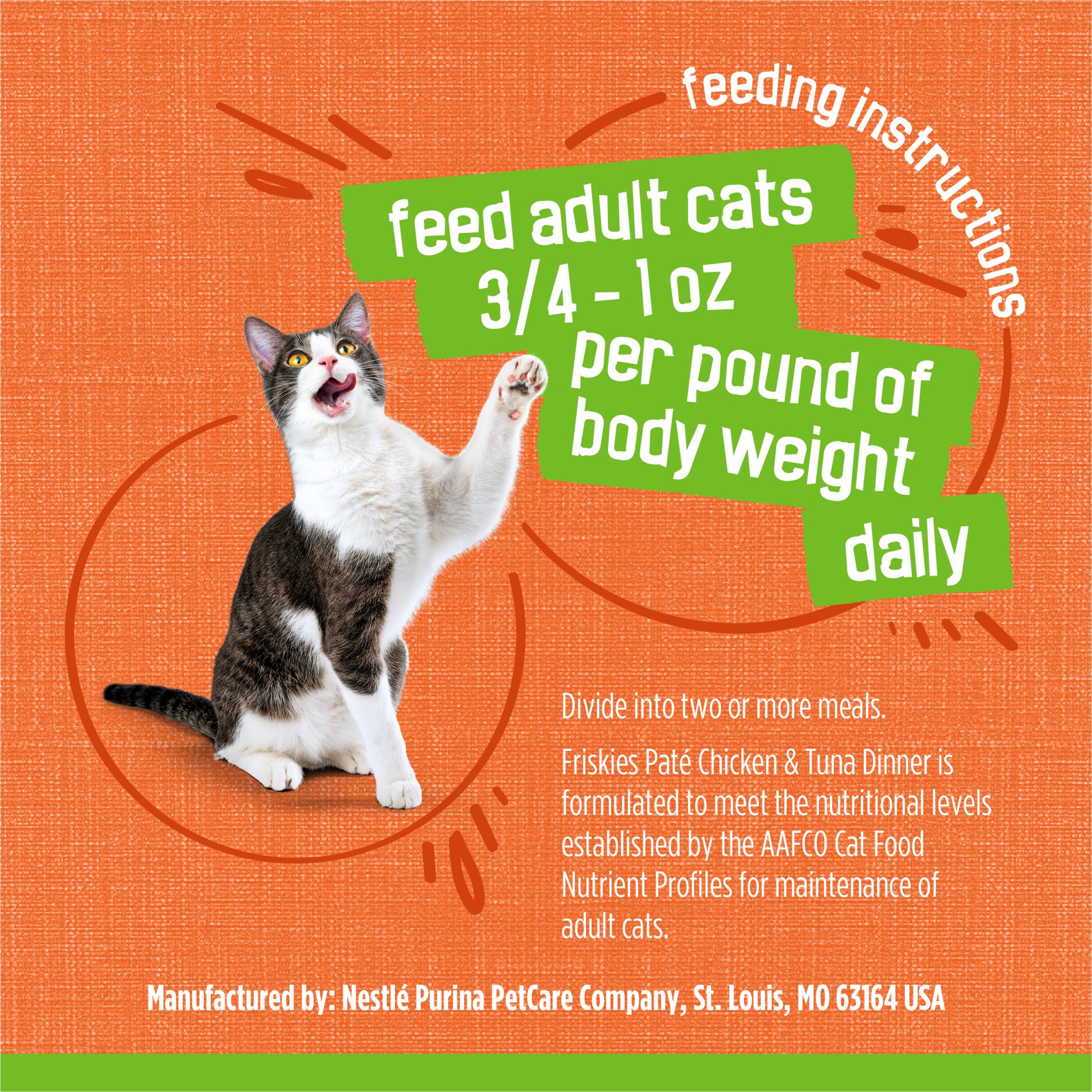 Friskies senior cat eating soft pate demonstrating gentle texture benefit