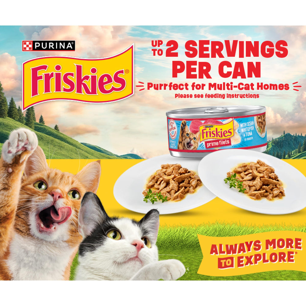 Friskies pantry-ready pack stored on shelf for convenience