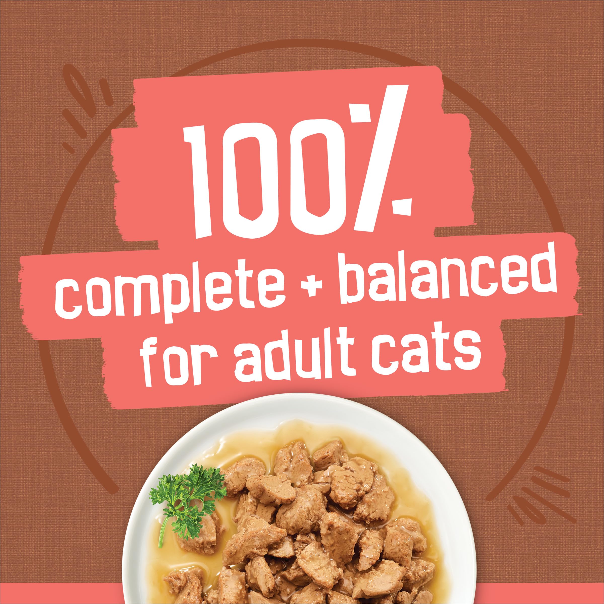 Friskies pouring gravy into bowl to increase meal moisture