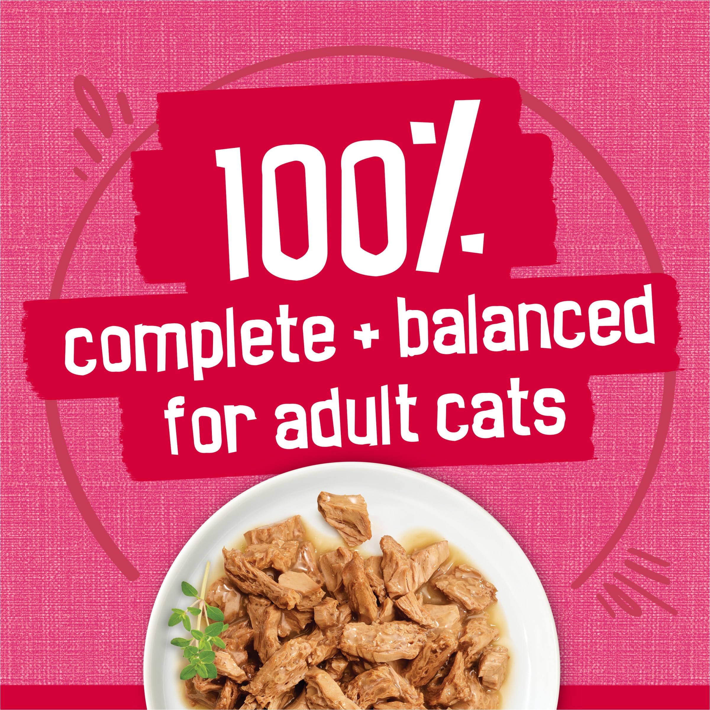 Friskies cat eating from dish showcasing flavor acceptance and happier mealtime
