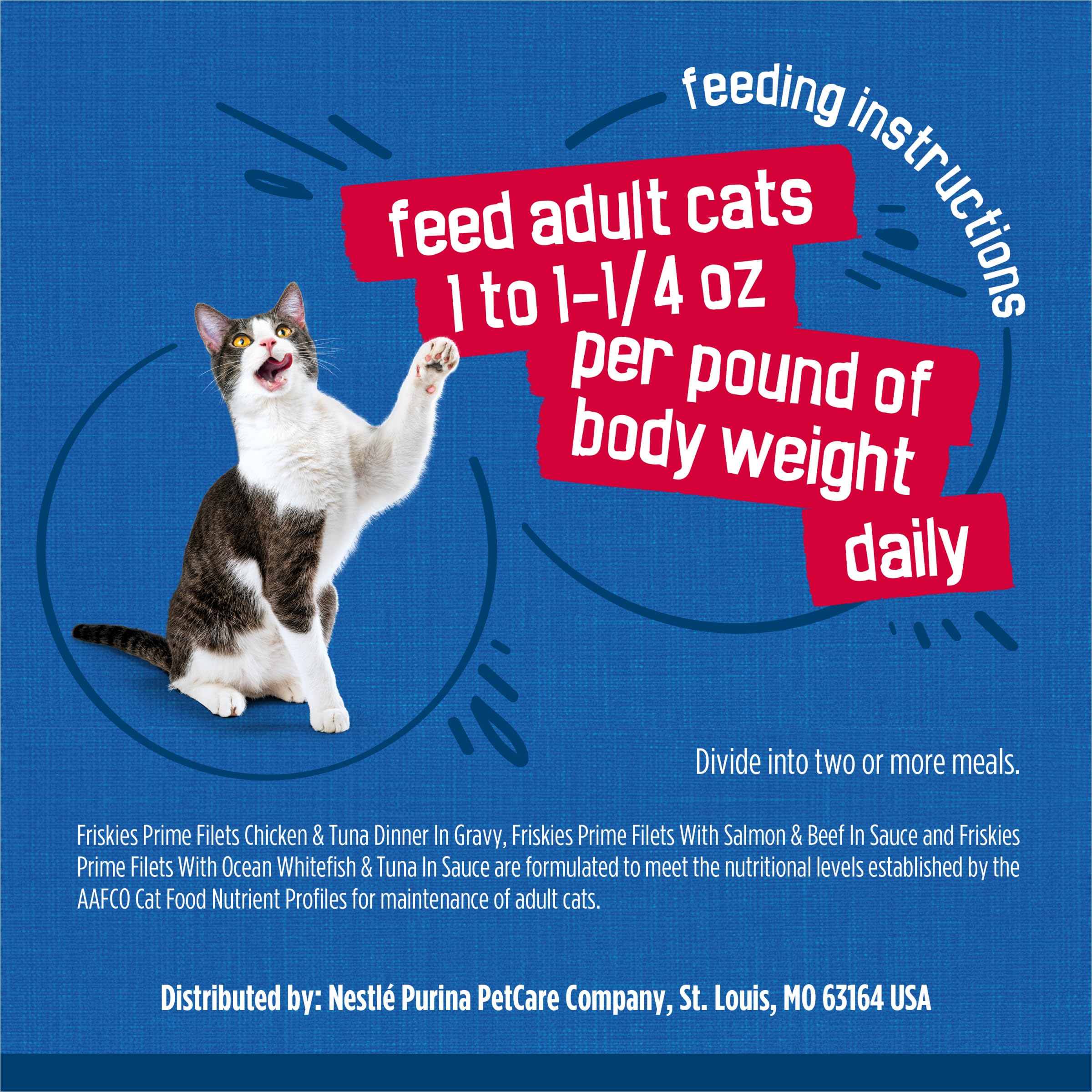 Friskies cans organized on pantry shelf illustrating long-term storage benefit