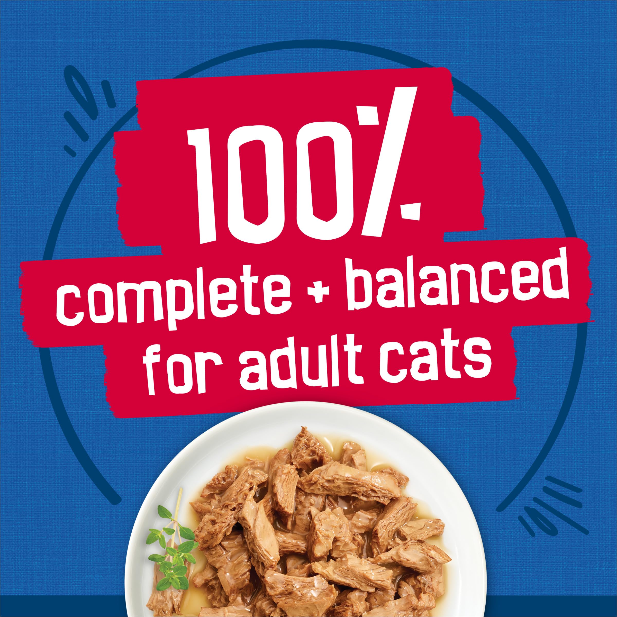Friskies served in a bowl ready to eat, encouraging hydration and palatability