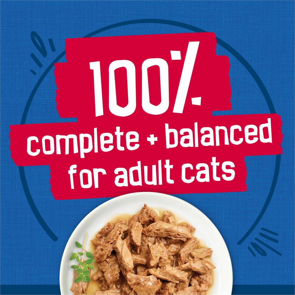 Friskies served in a bowl ready to eat, encouraging hydration and palatability