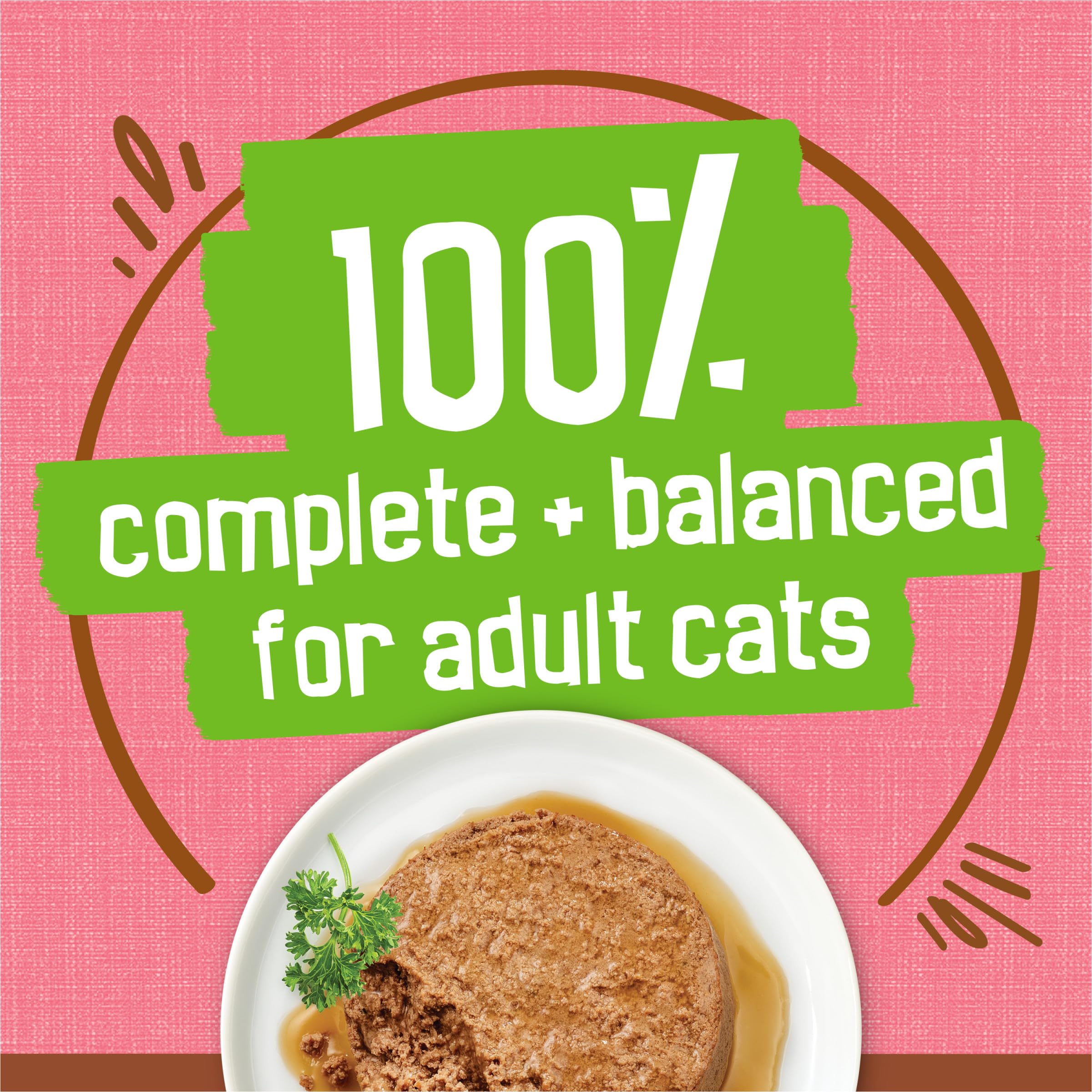 Cat eating from bowl with Friskies showing enjoyment and appetite