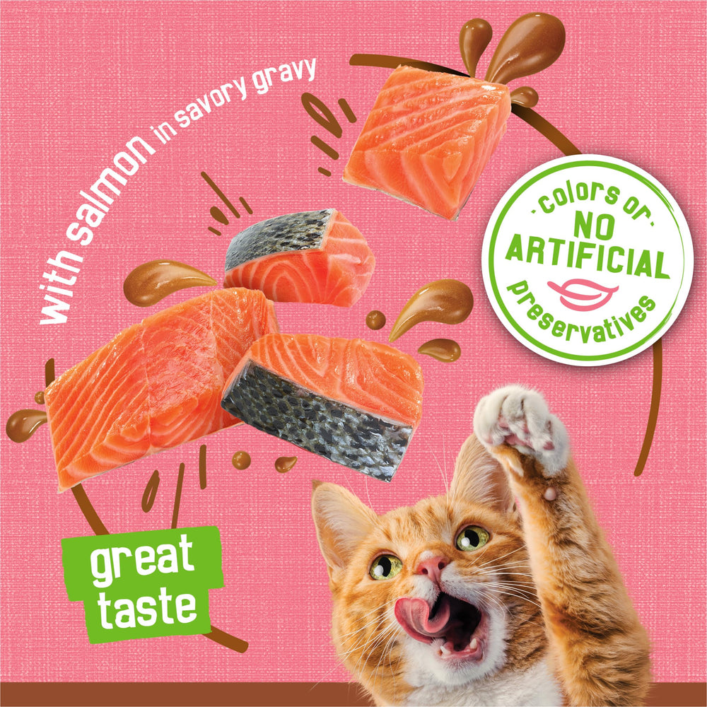 Friskies open can poured into bowl displaying serving presentation