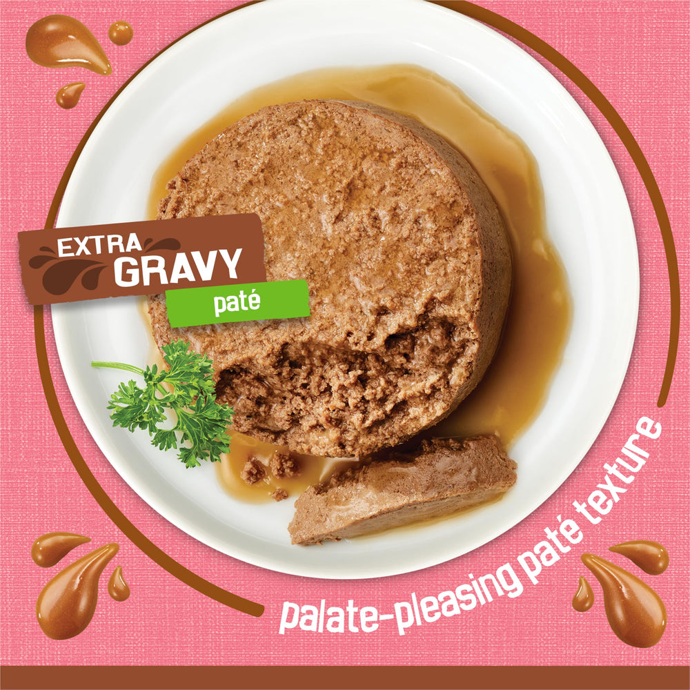 Friskies salmon pate close-up showing smooth texture and palatability