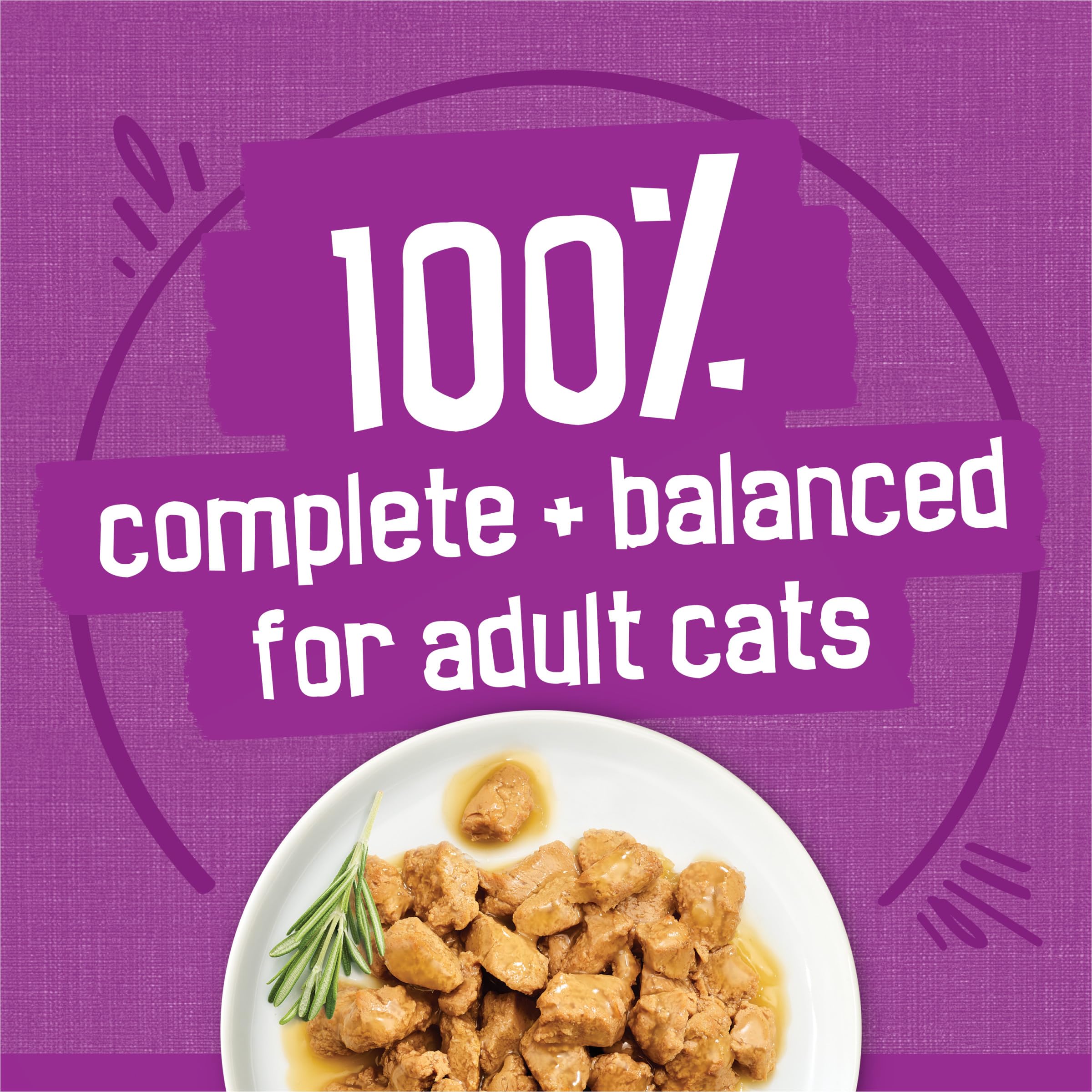 Friskies texture comparison plate with shreds, bits, and filets for variety