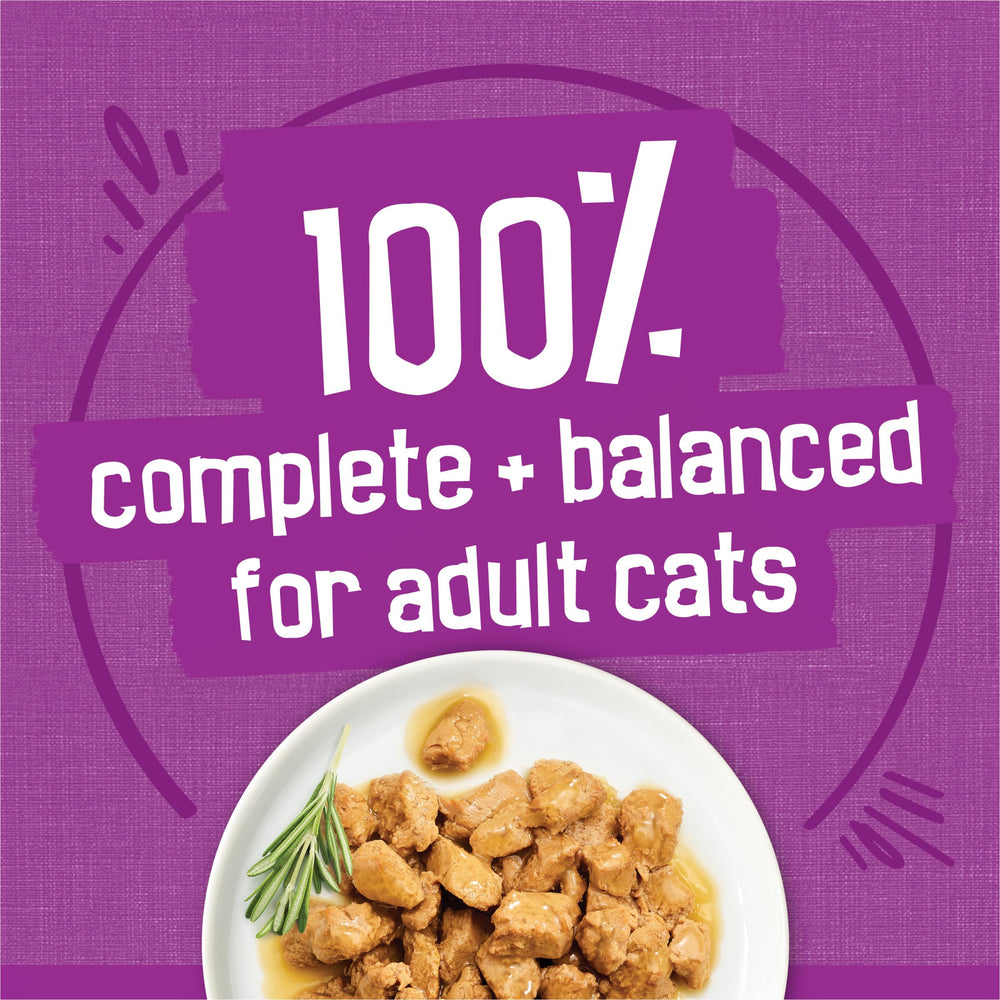 Friskies texture comparison plate with shreds, bits, and filets for variety