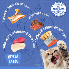Purina Friskies turkey and cheese in gravy on a spoon shows appetizing thickness