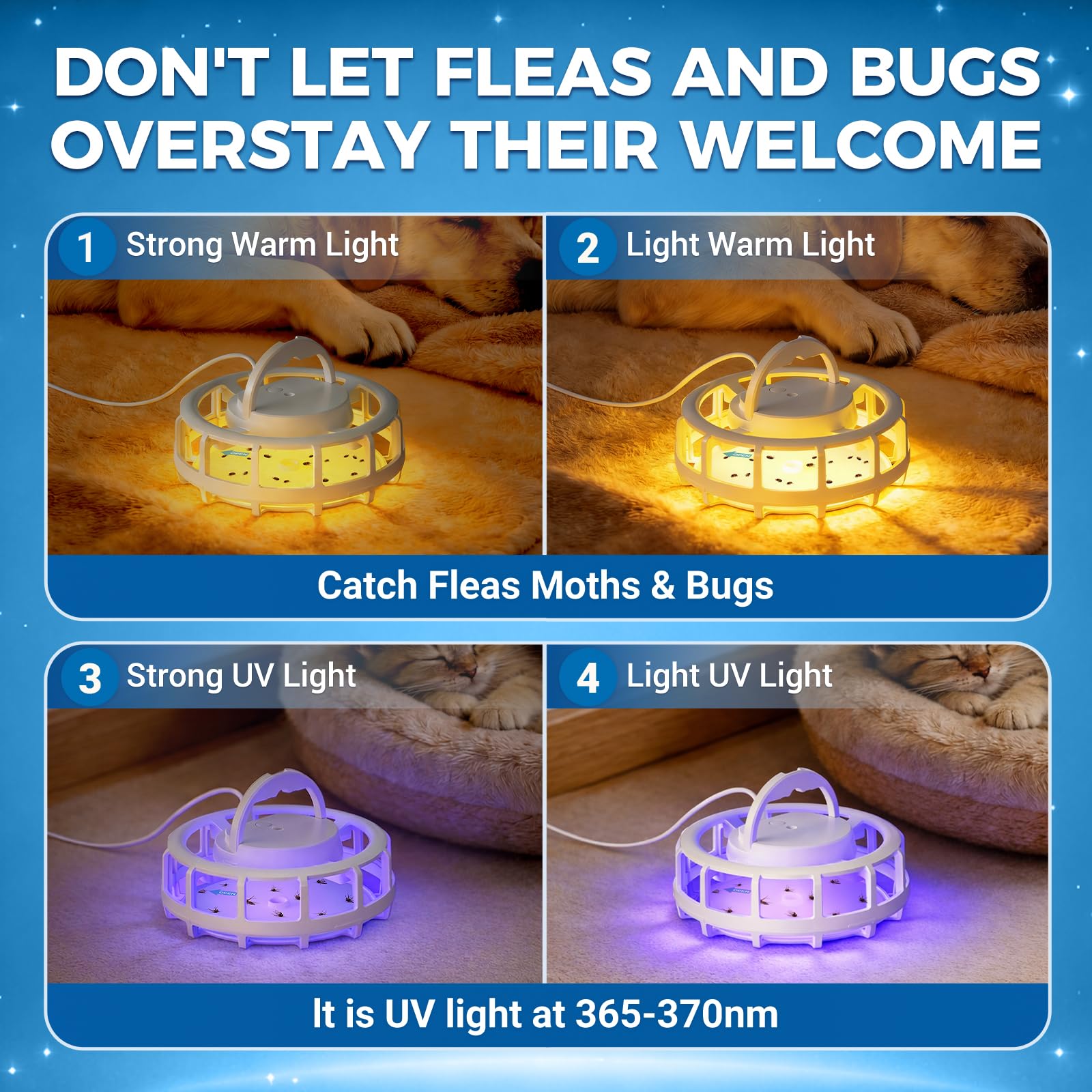 Frogoom close-up of sticky pad highlighting adhesive capture for pests