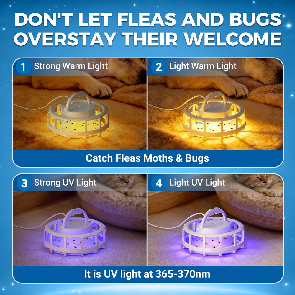 Frogoom close-up of sticky pad highlighting adhesive capture for pests