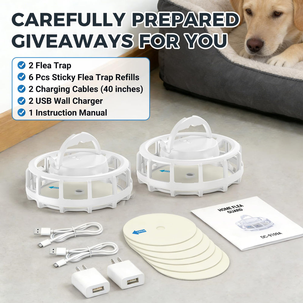 Frogoom placed in living room corner illustrating home pest reduction benefit