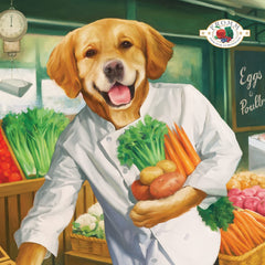 Fromm kibble close-up texture highlighting digestible salmon protein benefit