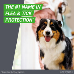 Demonstration of Frontline Plus being applied to a dog’s back for full coverage