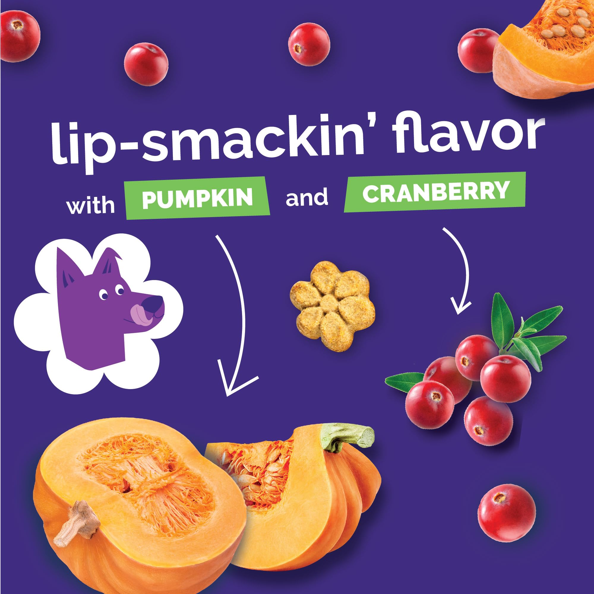Fruitables pumpkin and blueberry bag label showing fruit flavor appeal and aroma