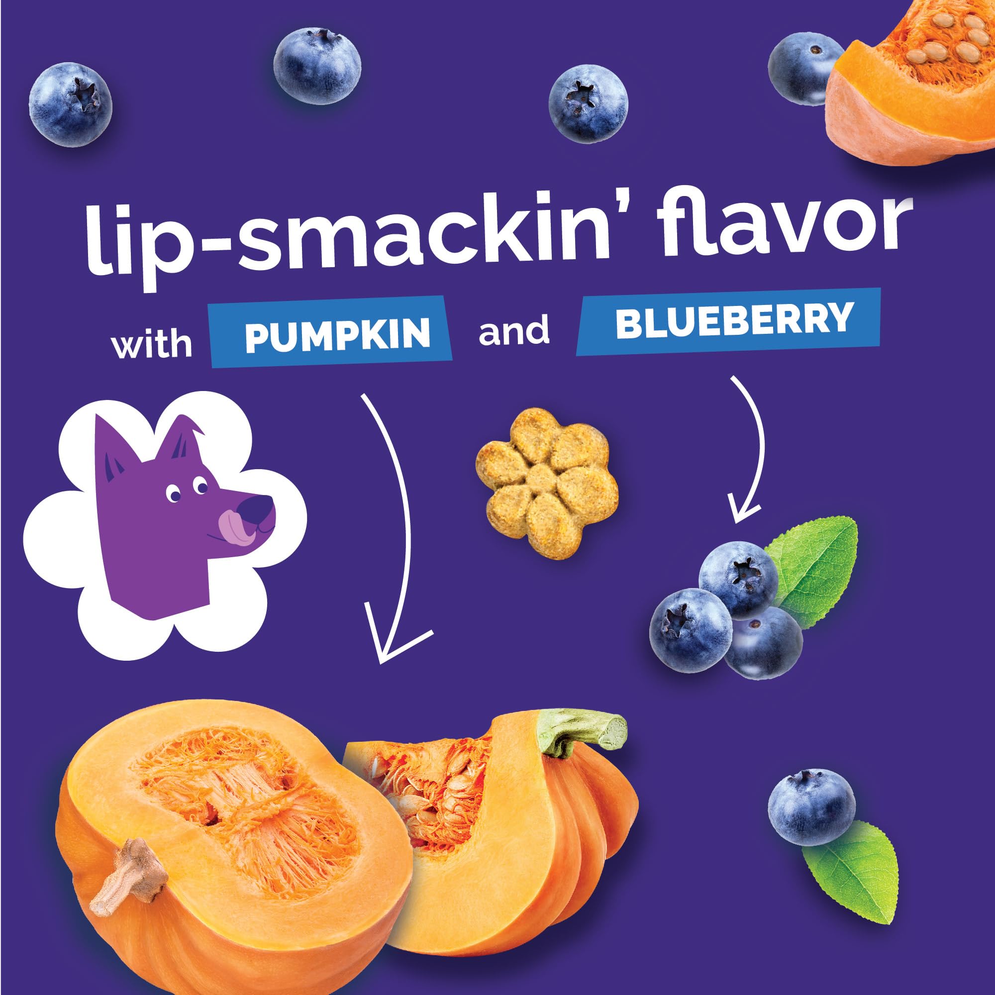 Fruitables pumpkin and cranberry bag label displaying festive flavor and interest