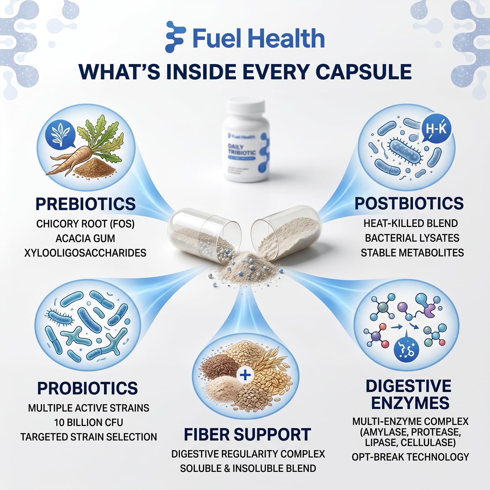 Powder texture detail of Fuel Health ingredients highlighting botanical components
