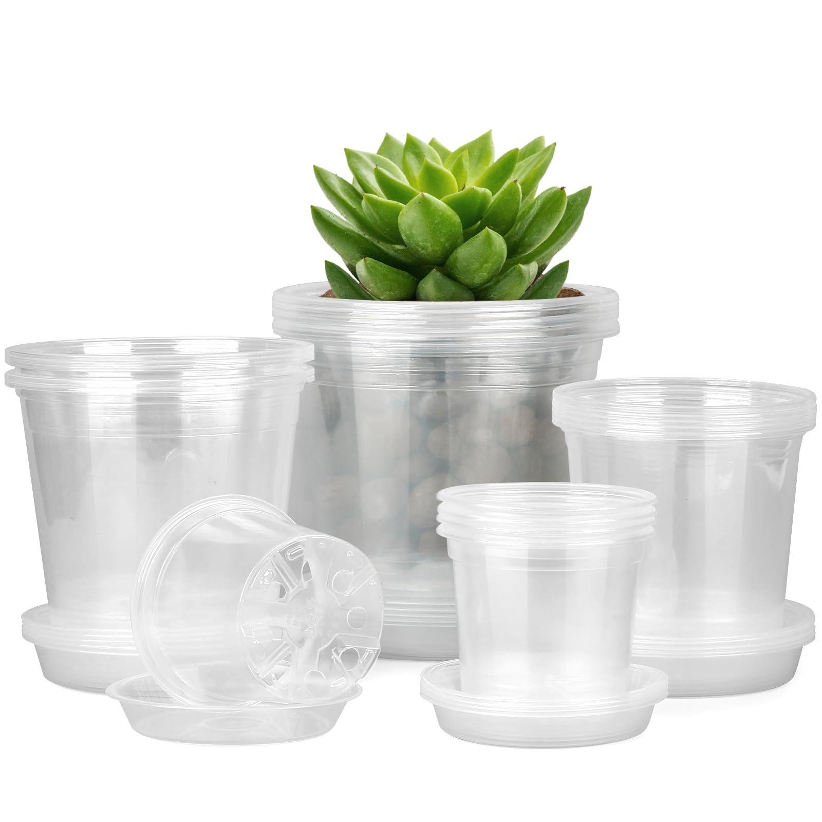 FUIJOL front view showing all four clear pot sizes and saucers, easy organization