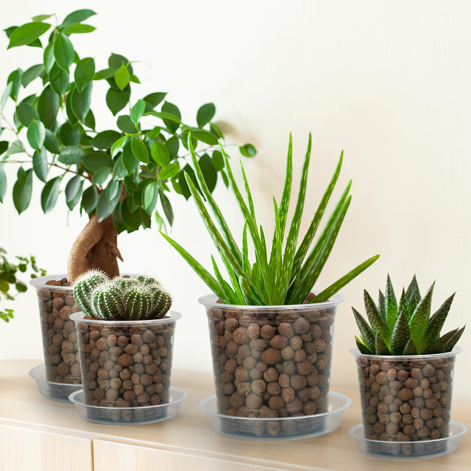 FUIJOL pots planted with succulents and herbs, attractive indoor display