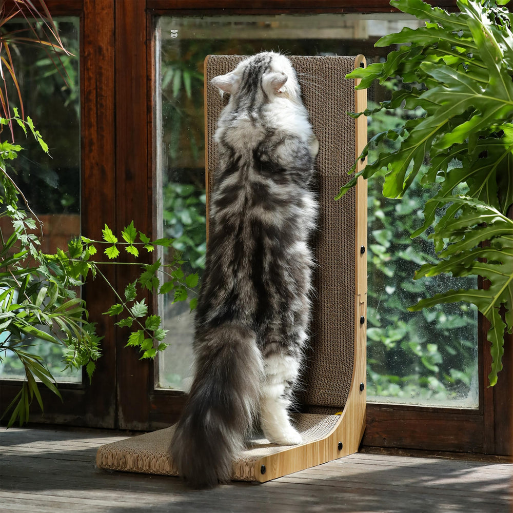 FUKUMARU prone position with cat inside offering cozy hideaway benefit