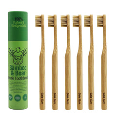 Gaia Guy front packaging showing six compostable toothbrushes and paper tube benefit