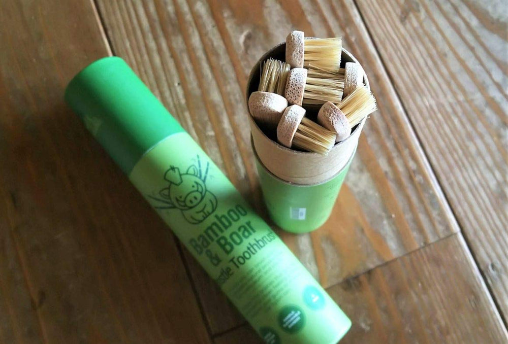 Gaia Guy six-pack in a paper tube emphasizing recyclable packaging benefit