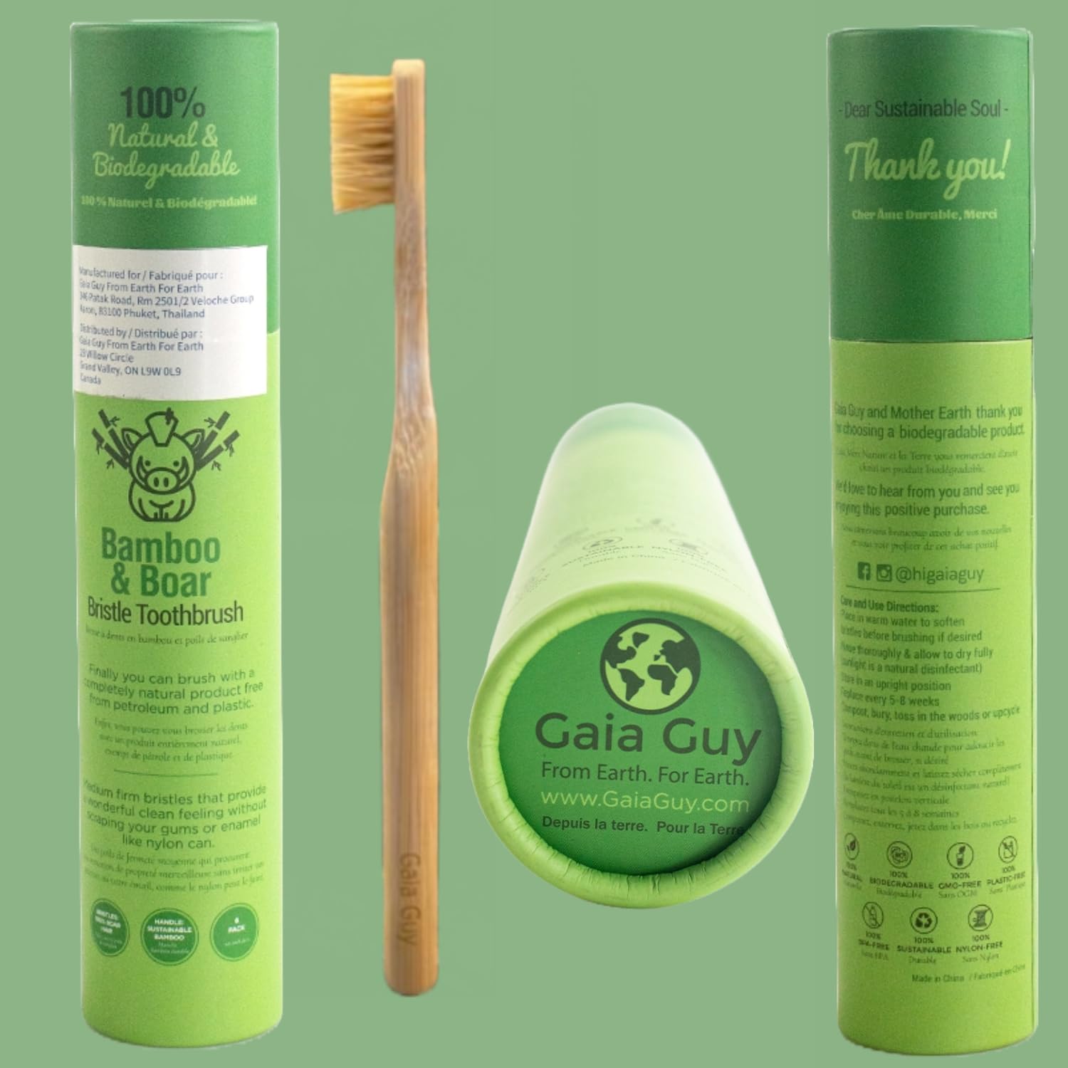Gaia Guy toothbrush staged with potted plant suggesting eco-friendly lifestyle benefit