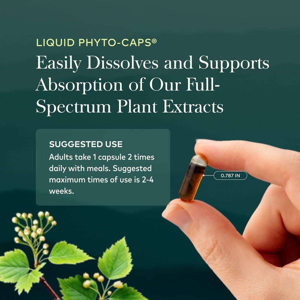 Gaia Herbs extraction process graphic highlighting supercritical CO2 purity