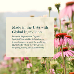 Gaia Herbs milk thistle seeds and ginger root together, showing ingredient freshness