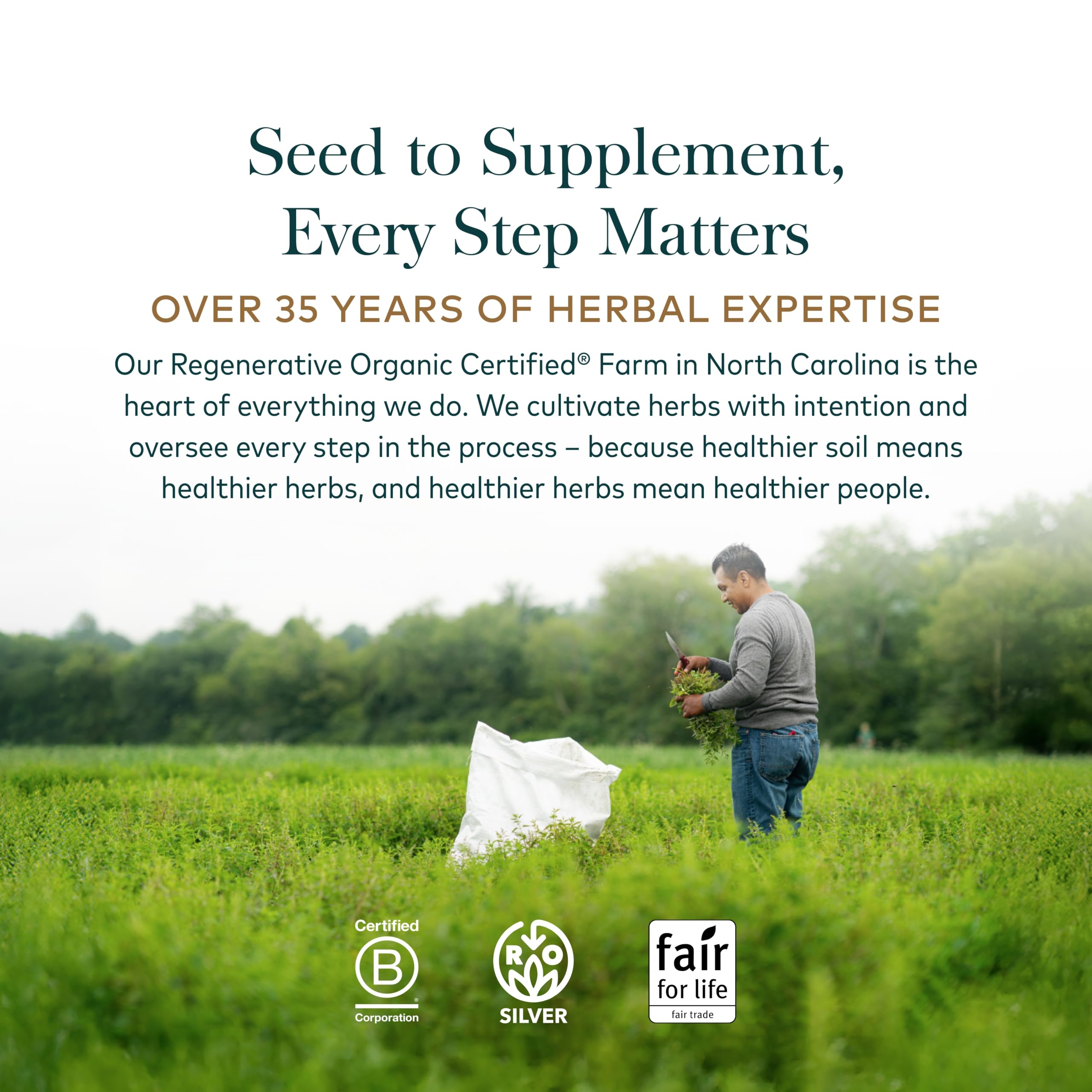 Gaia Herbs supplement facts label close-up showing standardized extracts