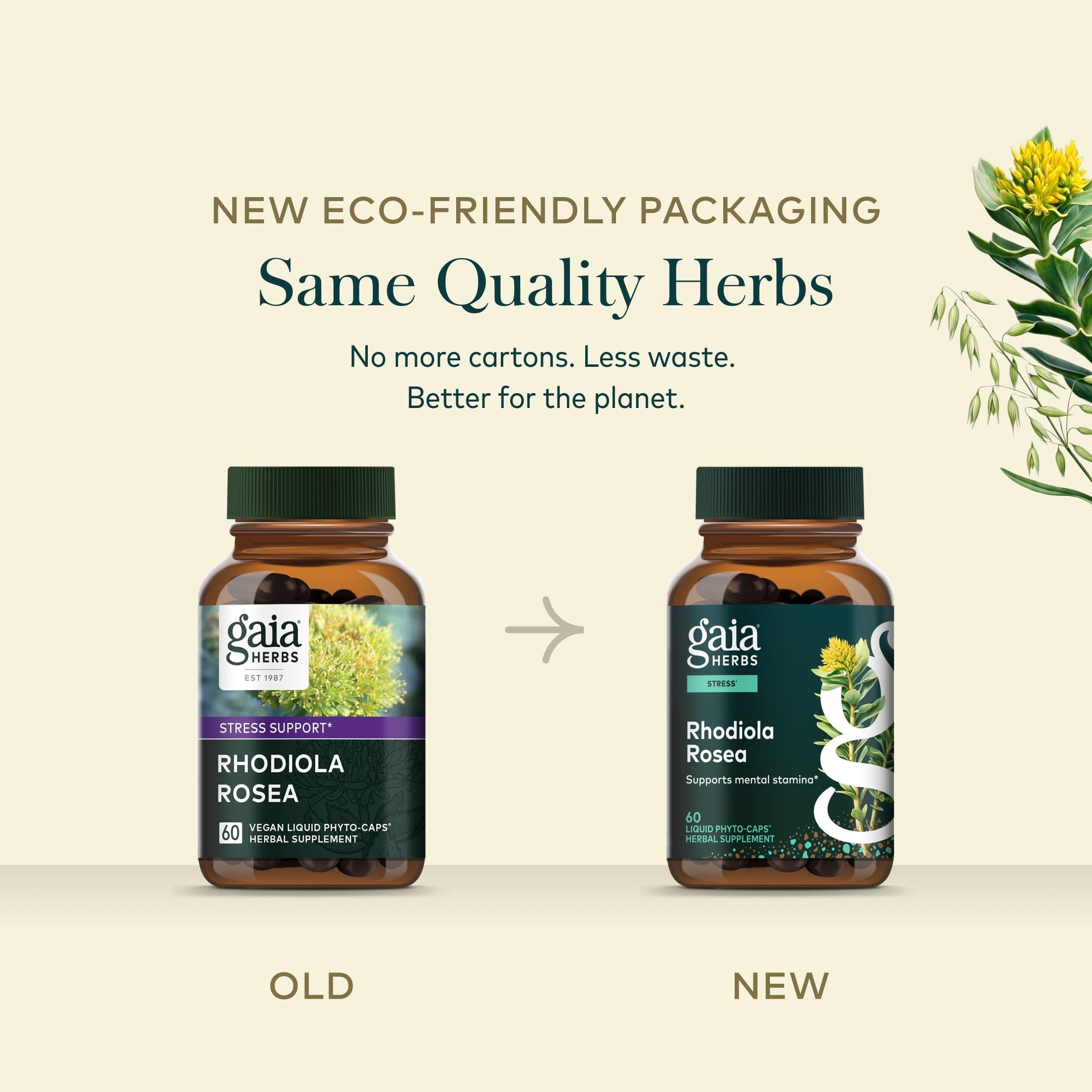 Gaia Herbs bottle in hand for size and serving comparison benefit