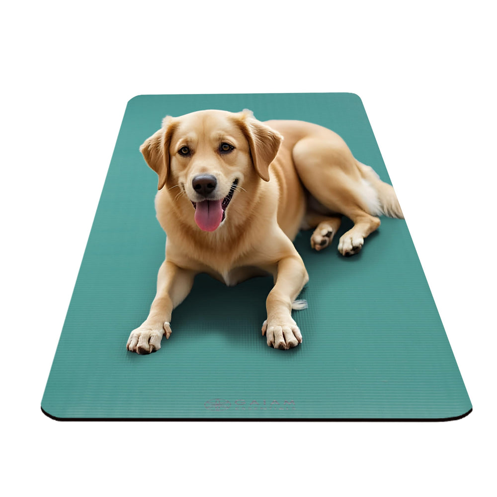 Gaiam label and material showing NBR foam low-odor benefit