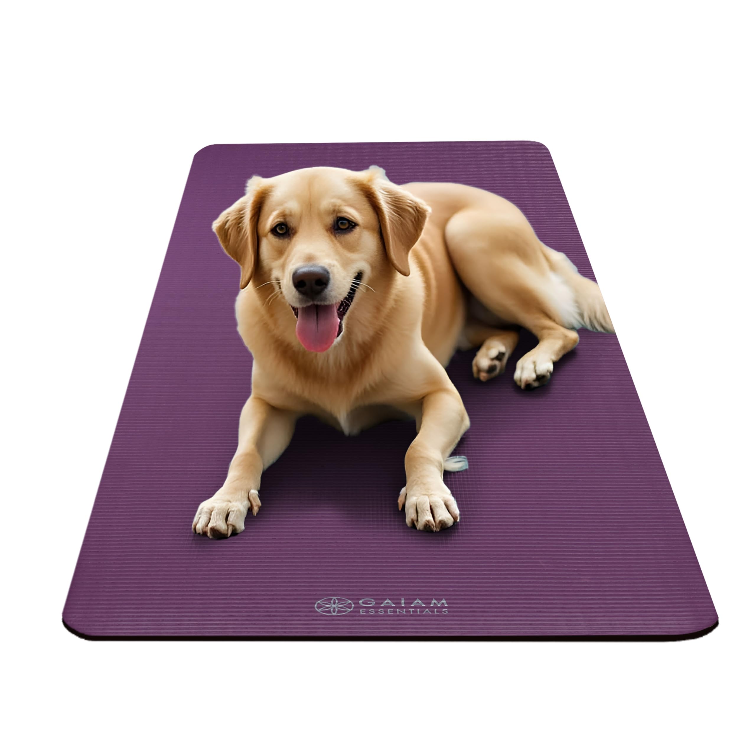 Gaiam size scale with measuring tape showing 72 by 24 inches for full-body coverage
