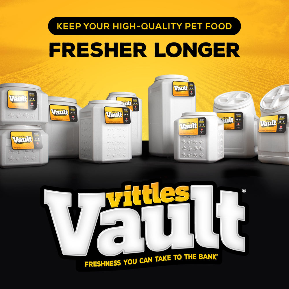 Gamma2 Vittles Vault in kitchen showing tidy pet-feeding organization benefit