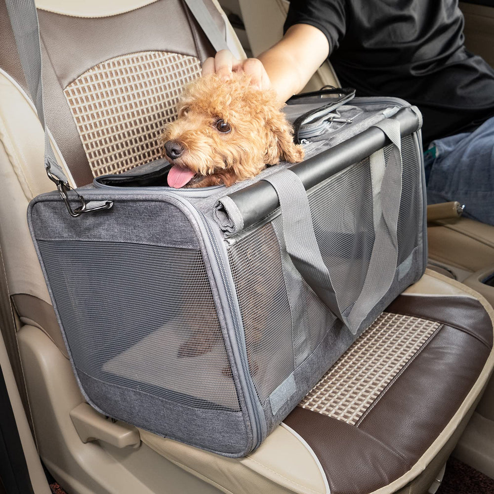 GAPZER carrier in lifestyle setting on porch ready to go showcasing travel convenience