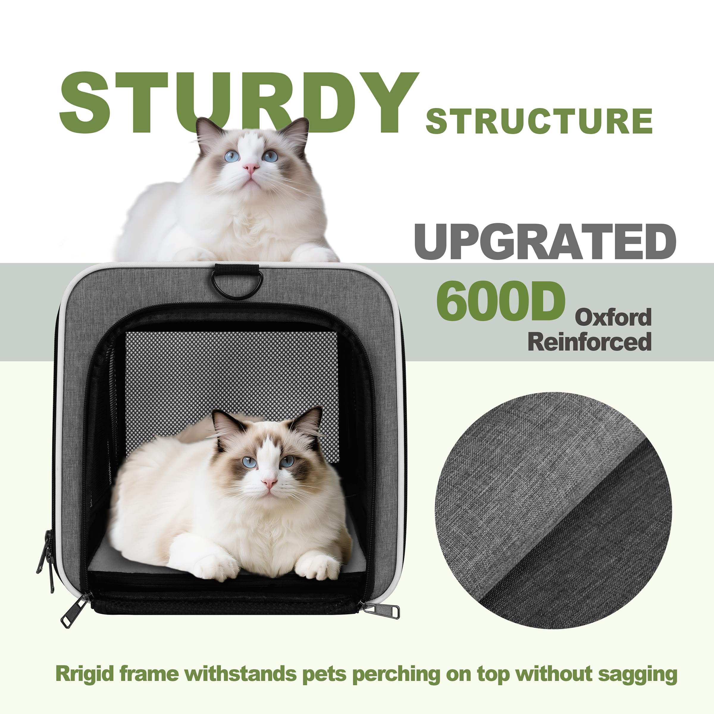 GAPZER reinforced oxford fabric texture resisting claws and wear
