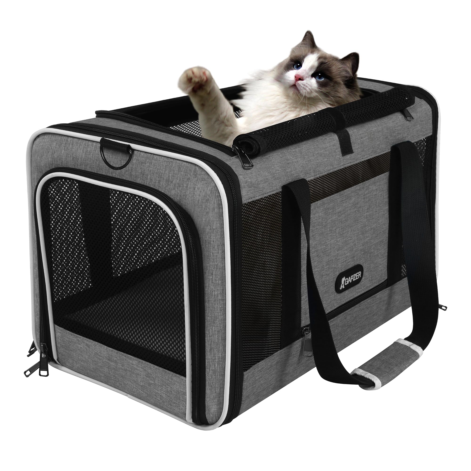 GAPZER size comparison with cat illustrating roomy interior fit
