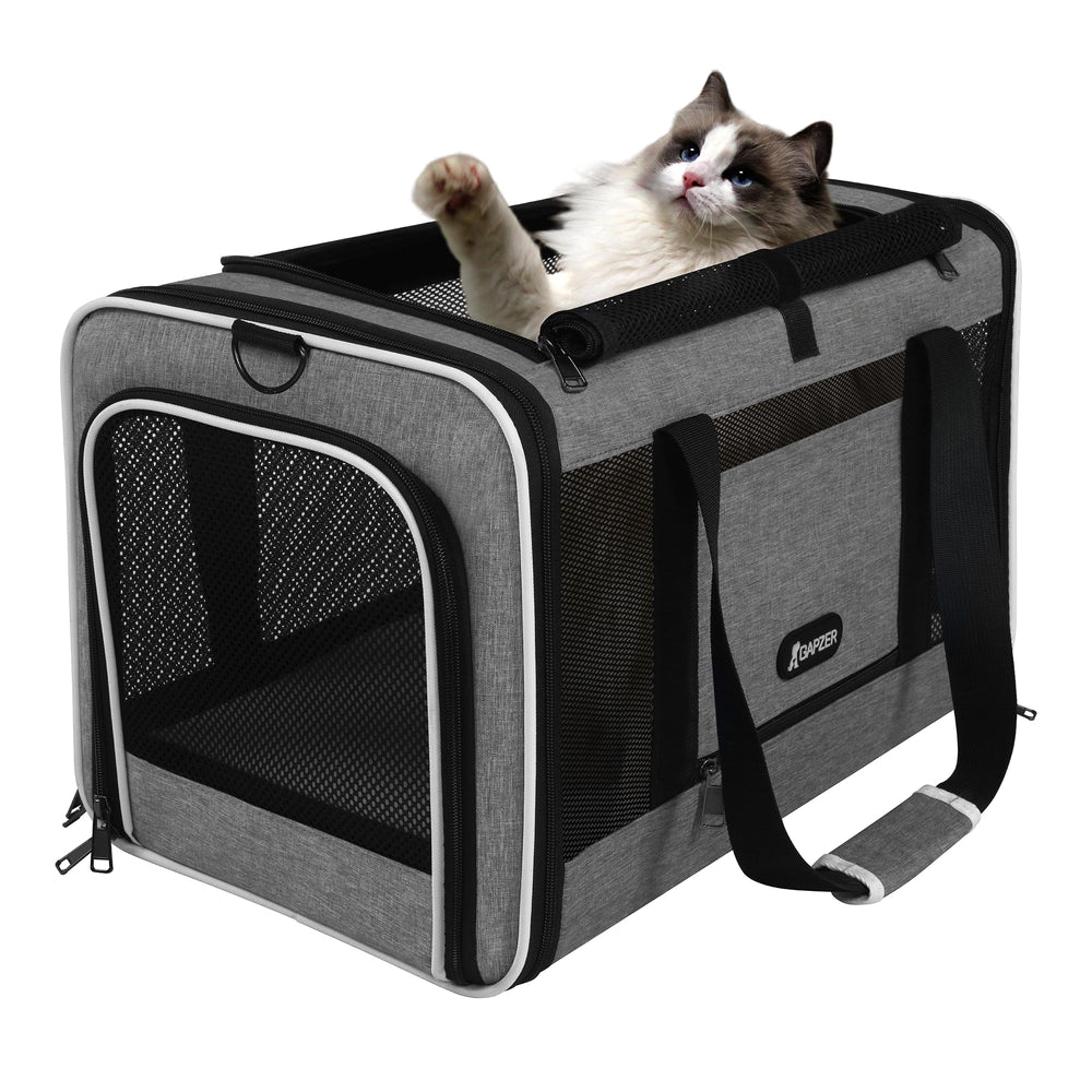 GAPZER size comparison with cat illustrating roomy interior fit