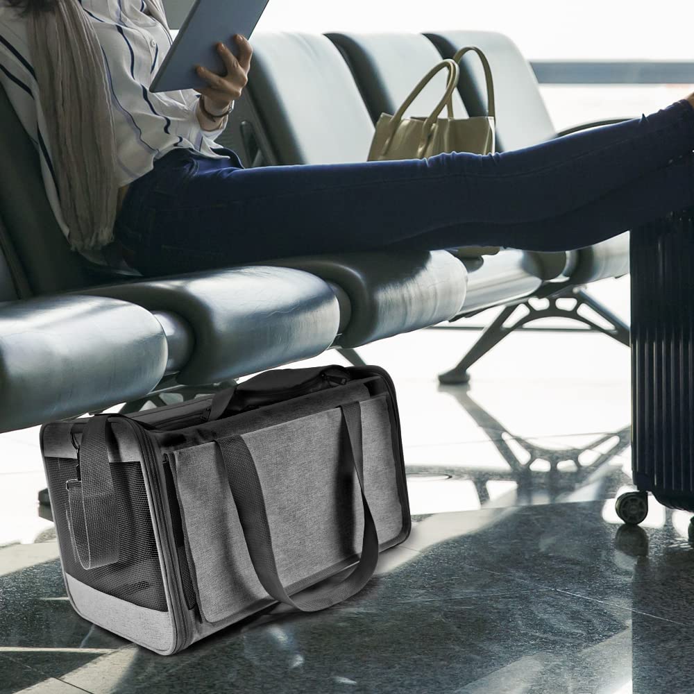 GAPZER carrier beside a standard cat for size comparison showing roomy interior