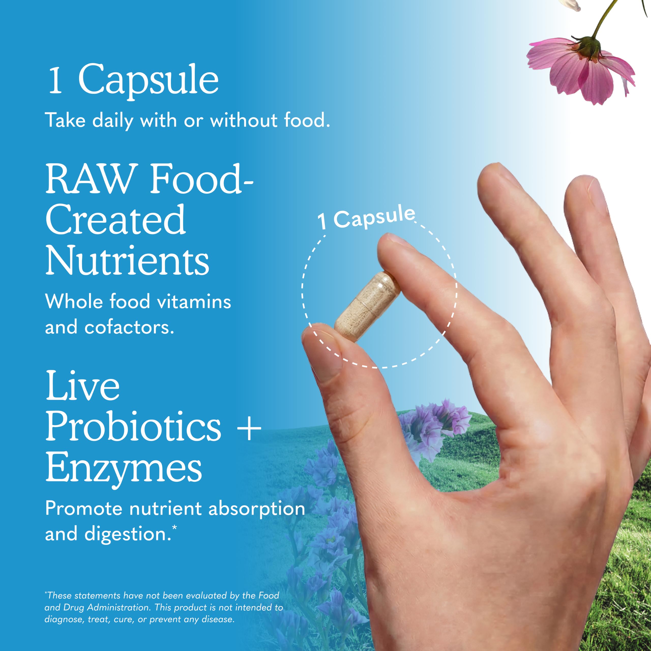 Garden of Life RAW ONE capsule in hand illustrating single daily dose