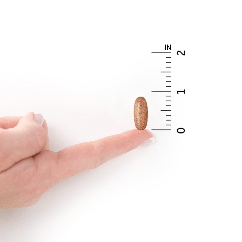 Garden of Life tablet in a man's hand demonstrating compact, easy-to-swallow size