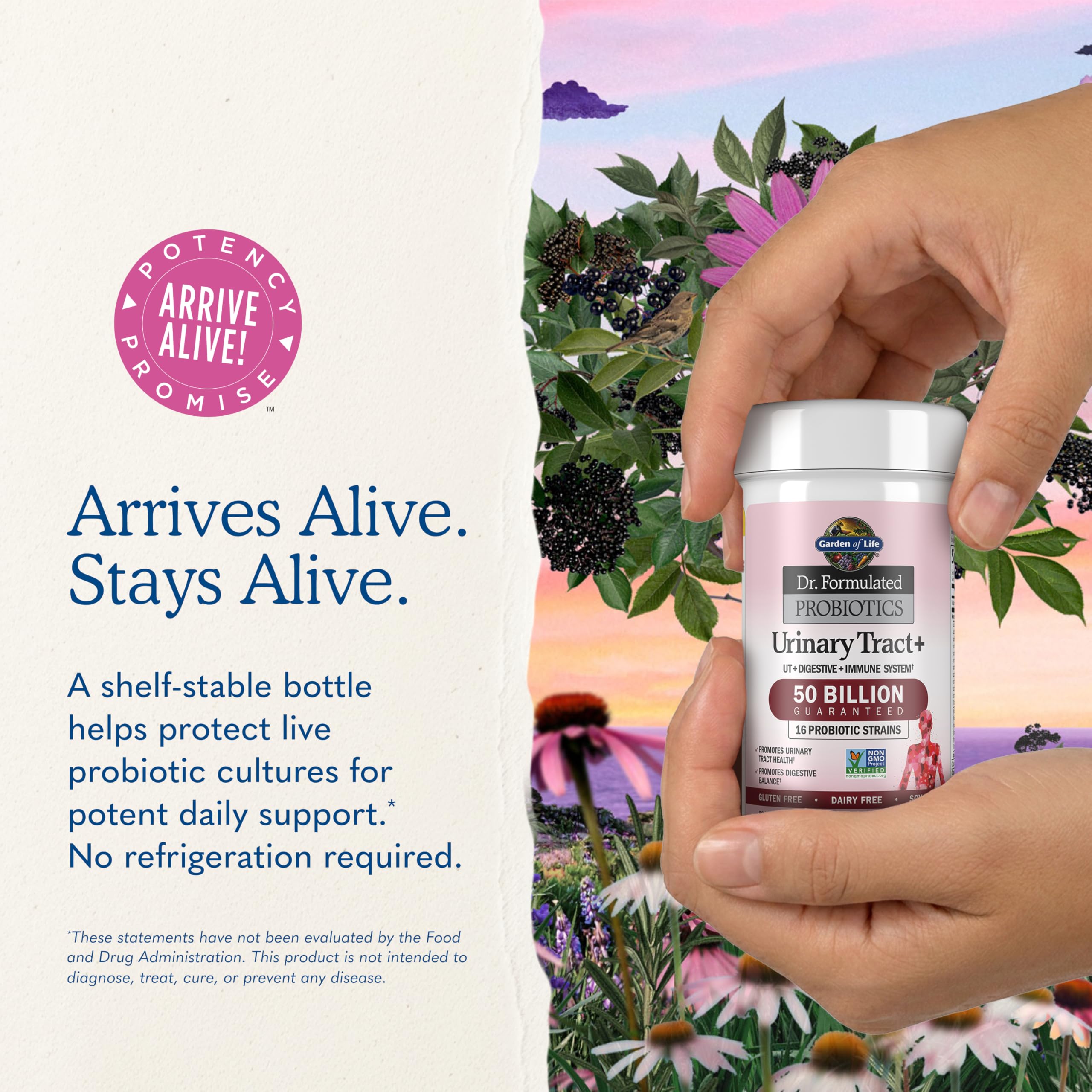 Garden of Life bottle on pantry shelf illustrating shelf-stable storage benefit