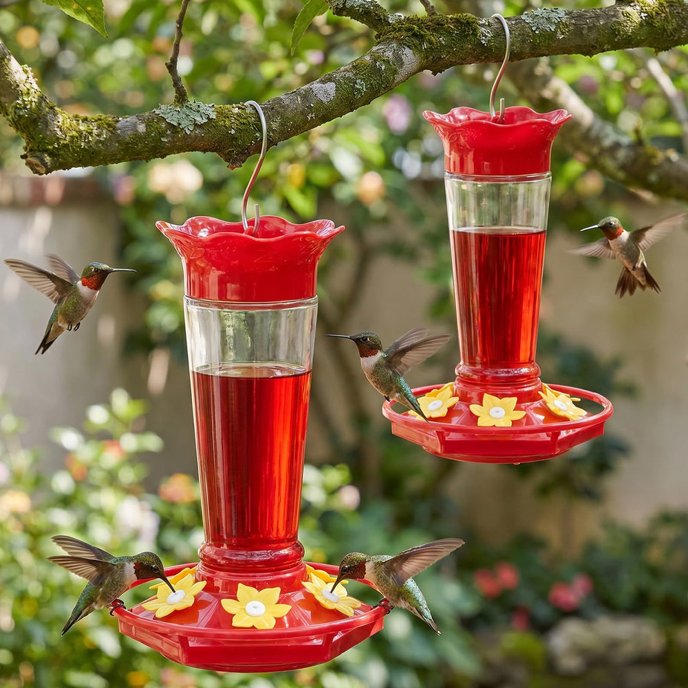 Gbekery clear glass feeder front view showing elegant bottle and ports for easy attraction