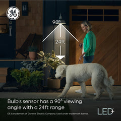 GE PAR38 close detail of diffuser showing even light distribution and glare reduction