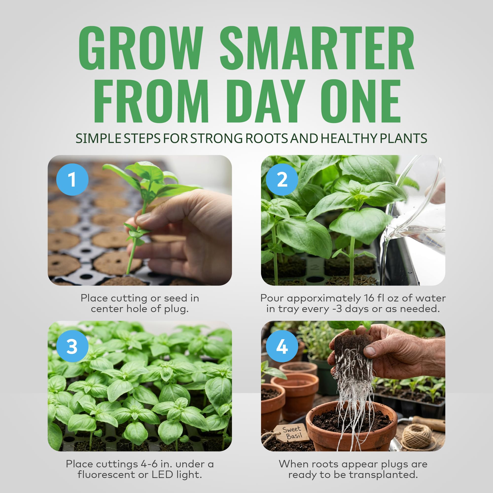 General Hydroponics transplant demo inserting intact plug to reduce shock benefit